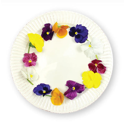 Wholesale Flavour Fields Pansy Blossoms- Bulk
