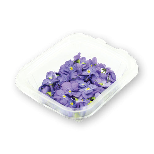 Wholesale Flavour Fields Viola Blossoms- Bulk