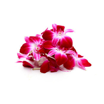 Wholesale Dix Farms Pink Orchid Blossoms- Bulk