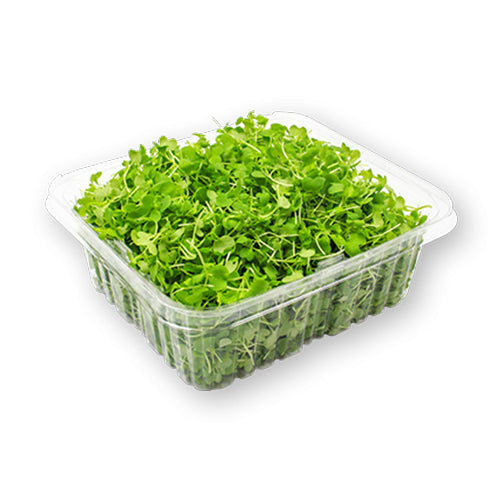 Wholesale Flavour Fields Wasabi Microgreens 4oz- Bulk