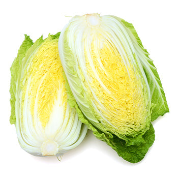 Wholesale Dix Farms Napa Cabbage 30lb- Bulk