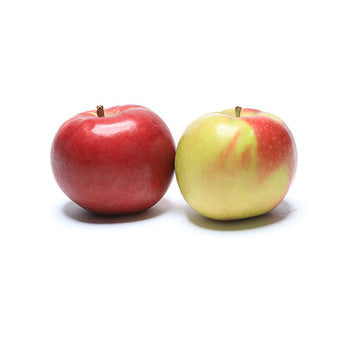 Wholesale Local Farm Mcintosh Apples, Local- Bulk