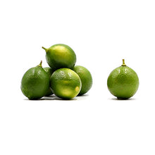 Wholesale Dix Farms Fresh Limes Key 1lb- Bulk