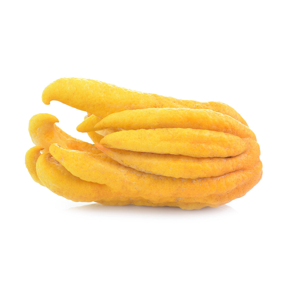 Wholesale Dix Farms Buddha's Hand Citrus 12lb- Bulk