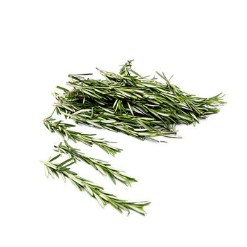 Wholesale Dix Farms Fresh Rosemary 1lb- Bulk