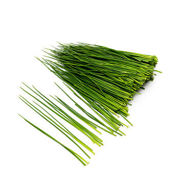 Wholesale Dix Farms Chives 1lb- Bulk