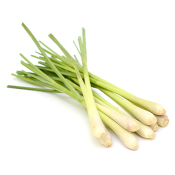 Wholesale Dix Farms Lemongrass 1lb- Bulk