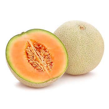 Wholesale Dix Farms Cantaloupe- Bulk