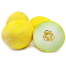Wholesale Dix Farms Galia Melon- Bulk
