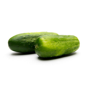 Wholesale Dix Farms Cucumbers- Bulk