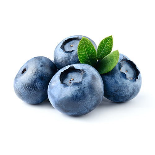 Wholesale Dix Farms Organic Blueberries 6oz- Bulk