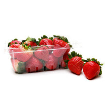Wholesale Driscoll's Organic Strawberries 1lb- Bulk
