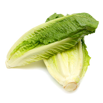 Wholesale Dix Farms Organic Romaine Lettuce Hearts- Bulk