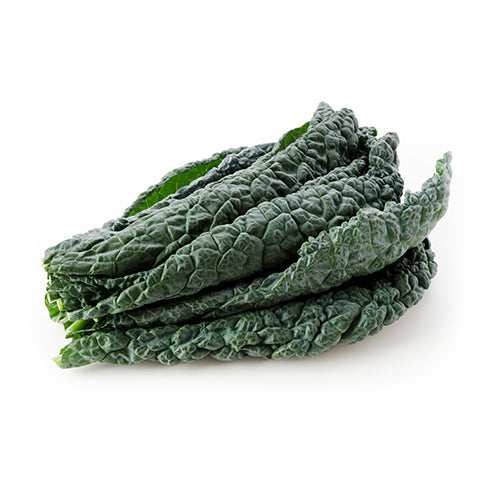 Wholesale Dix Farms Organic Tuscan Kale- Bulk