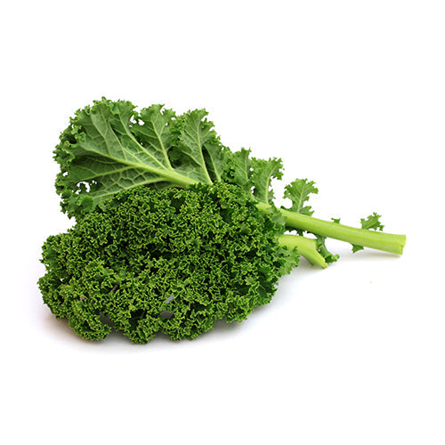 Wholesale Dix Farms Organic Kale- Bulk