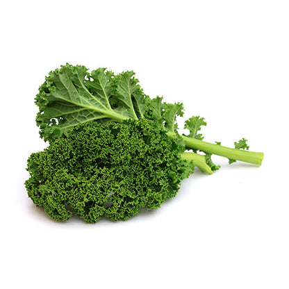 Wholesale Dix Farms Organic Kale- Bulk