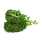 Wholesale Dix Farms Organic Kale- Bulk