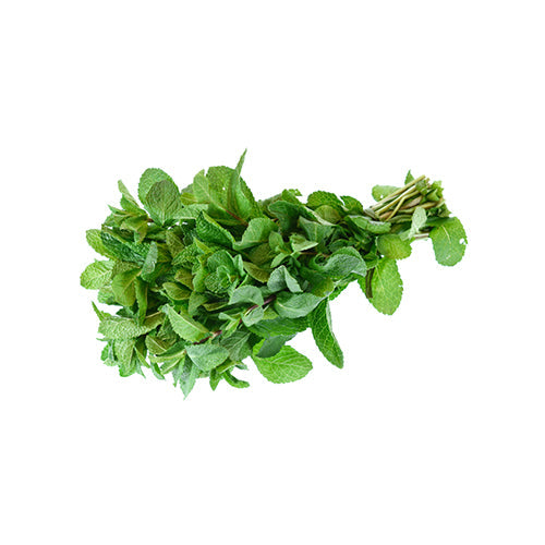 Wholesale Local Farm Mint- Bulk