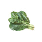 Wholesale Local Farm Bunched Collard Greens, Local- Bulk