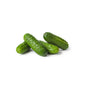Wholesale Local Farm Fresh Cucumber Pickling, Local- Bulk