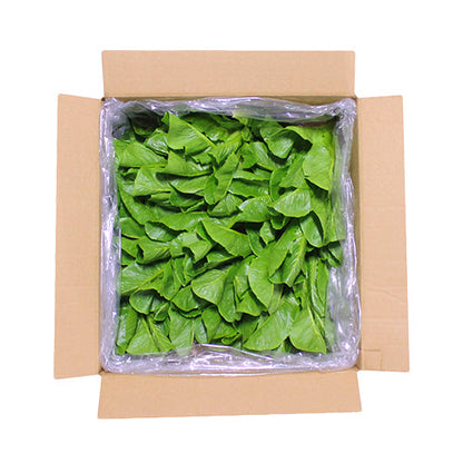 Wholesale Gotham Greens Romaine Heads Lettuce 2.5lb- Bulk