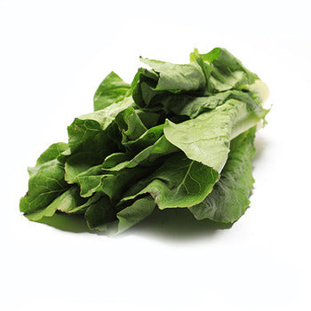 Wholesale Gotham Greens Romaine Heads Lettuce 2.5lb- Bulk