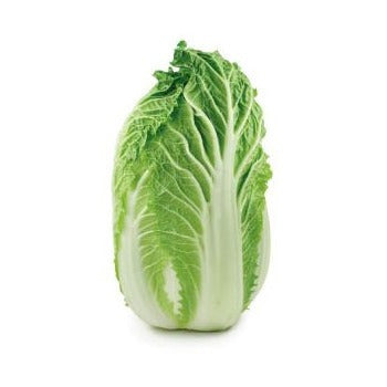 Wholesale Dix Farms Napa Cabbage- Bulk