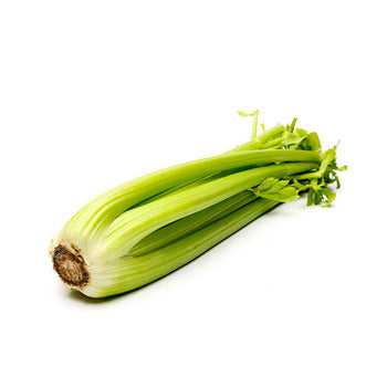 Wholesale Dix Farms Celery- Bulk