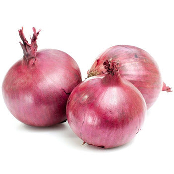 Wholesale Dix Farms Medium Red Onions 10lb- Bulk