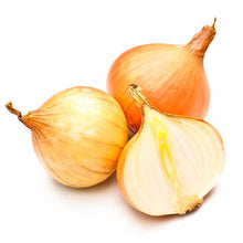 Wholesale Dix Farms Spanish Onions 10lb- Bulk