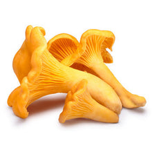 Wholesale Dix Farms Imported Chanterelle Mushrooms 8oz- Bulk