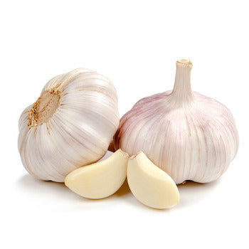 Wholesale Dix Farms Garlic- Bulk