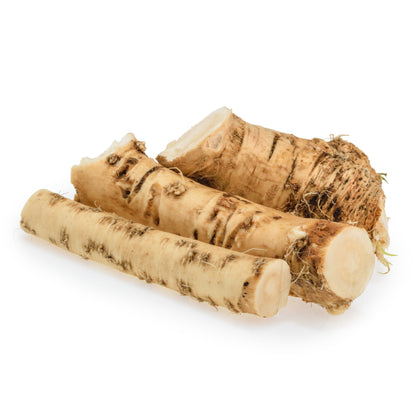 Wholesale Dix Farms Horseradish Root 5lb- Bulk