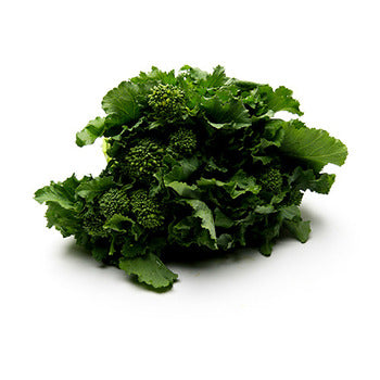 Wholesale Dix Farms Broccoli Rabe- Bulk