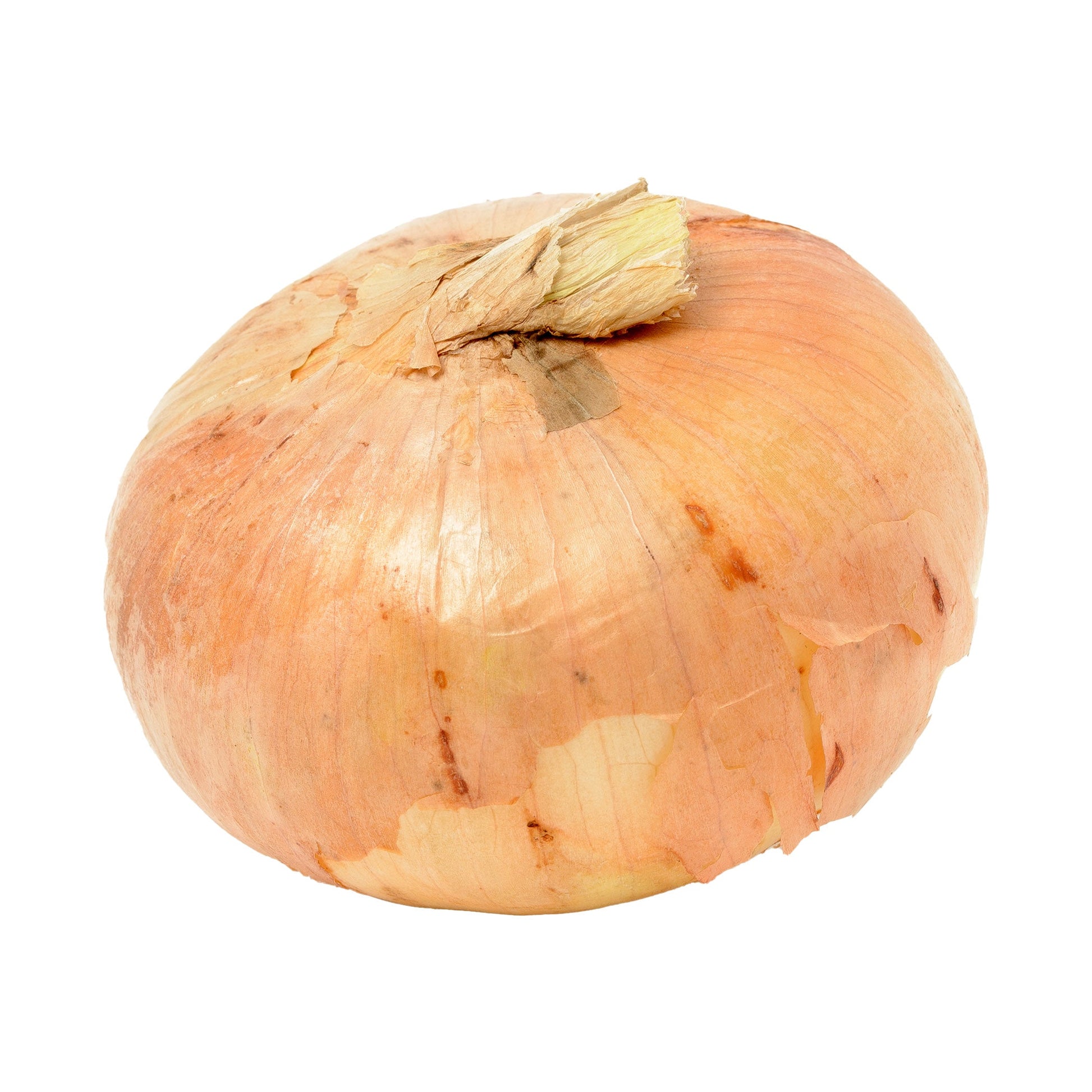 Wholesale Dix Farms Vidalia Onion 3lb- Bulk