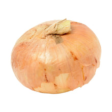 Wholesale Dix Farms Vidalia Onion 3lb- Bulk