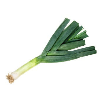Wholesale Dix Farms Leeks- Bulk