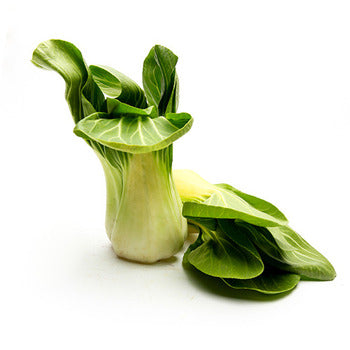 Wholesale Dix Farms Bok Choy Cabbage 10lb- Bulk