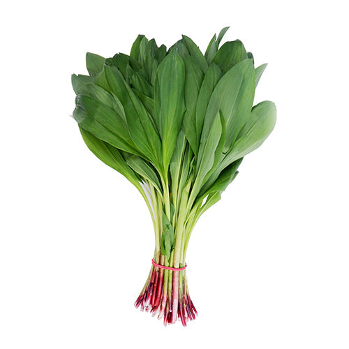 Wholesale Dix Farms Fresh Ramps Wild Leeks 5lb- Bulk