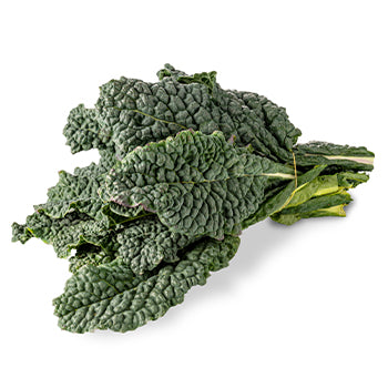 Wholesale Dix Farms Fresh Kale Tuscan- Bulk