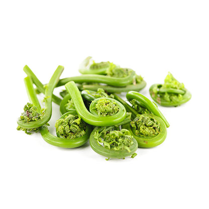 Wholesale Dix Farms Western Fiddleheads 1lb- Bulk