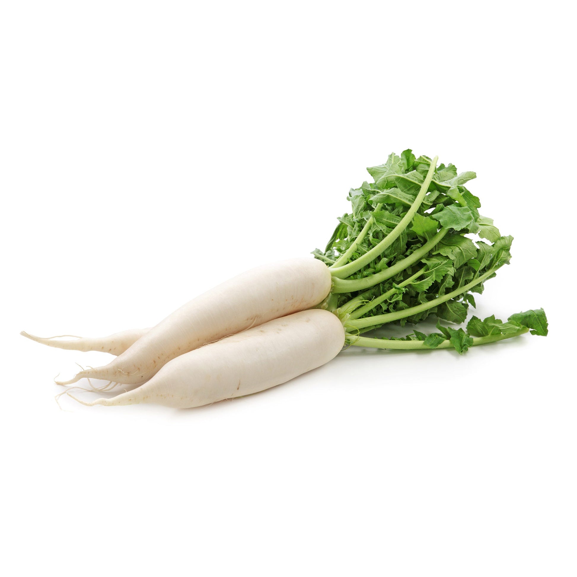 Wholesale Dix Farms Daikon Radish 5lb- Bulk