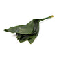 Wholesale Dix Farms Bunched Ti Asa Leaves- Bulk