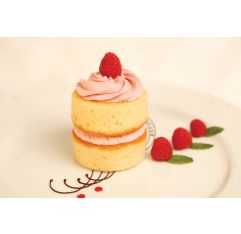 Wholesale Queen City Pastry Raspberry Vanilla Bean Cake- Bulk