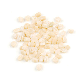 Wholesale D'Allesandro #10 Ivory White Lentils 10lb- Bulk