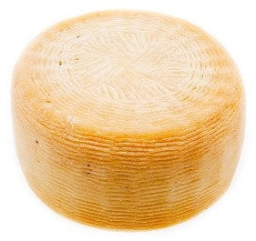 Wholesale Forever Cheese Aged Crotonese Cheese 5lb- Bulk
