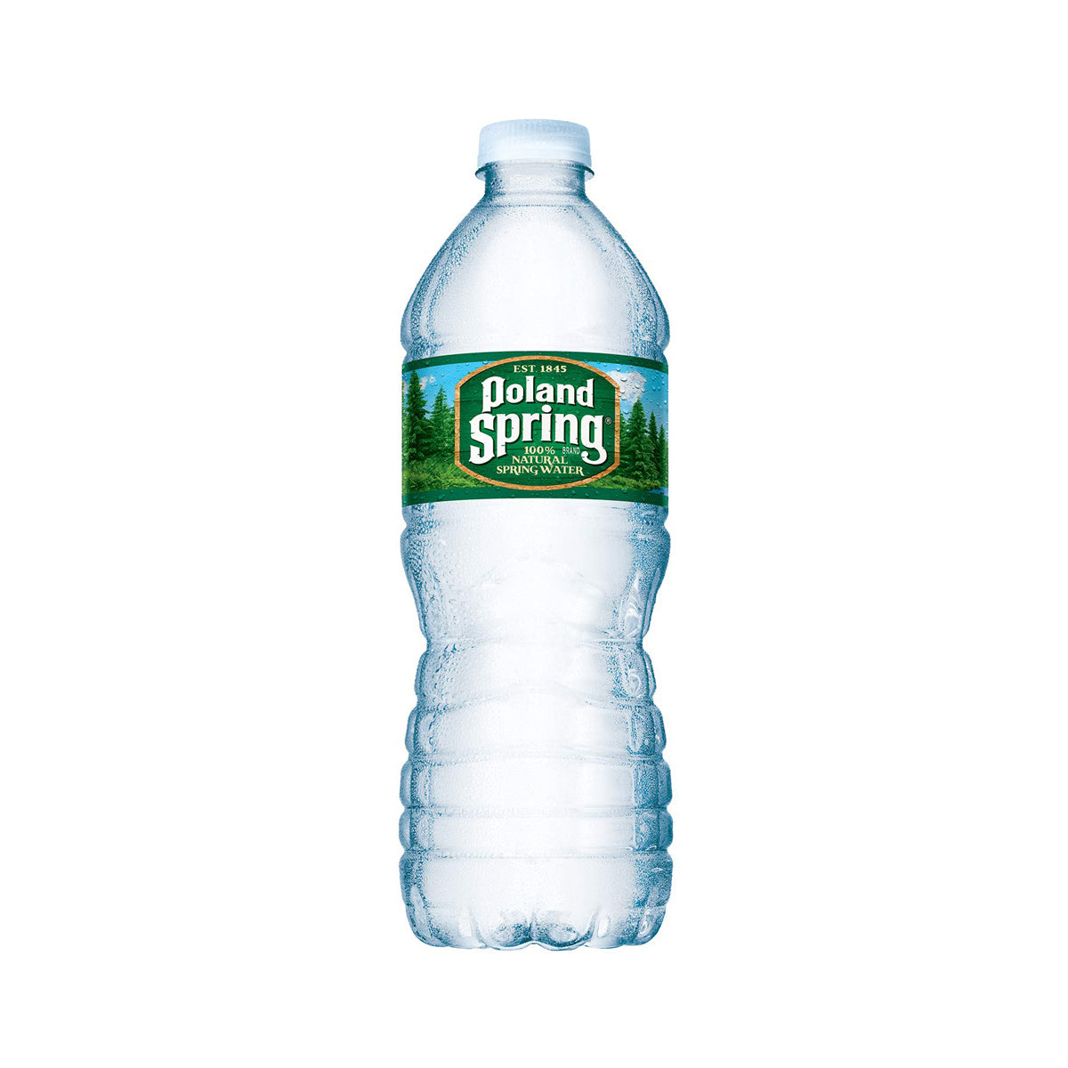 Wholesale Poland Springs Water 16.9 Oz Bottle- Bulk