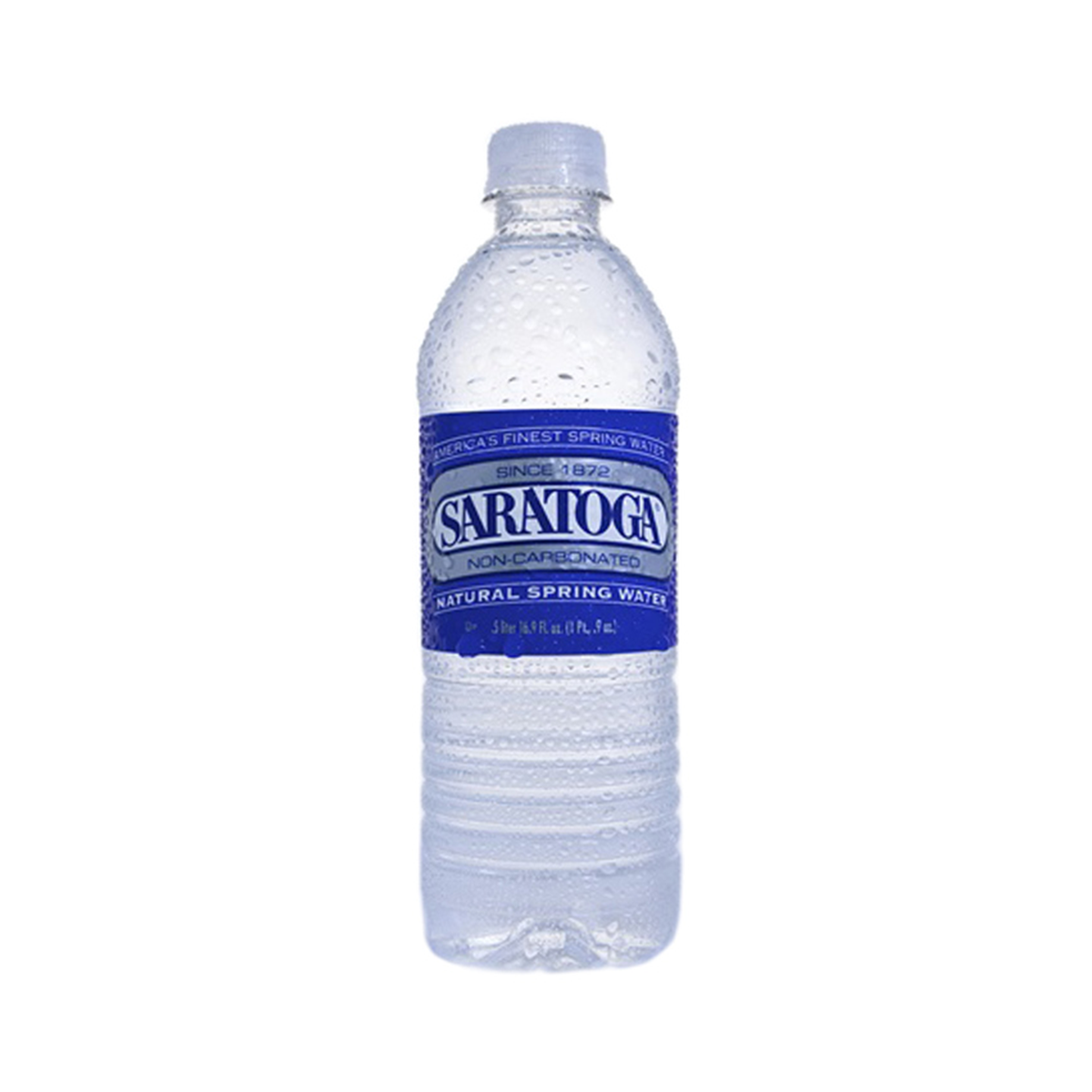 Wholesale Saratoga Spring Water Company Natural Spring Water in Plastic 16.9 OZ- Bulk