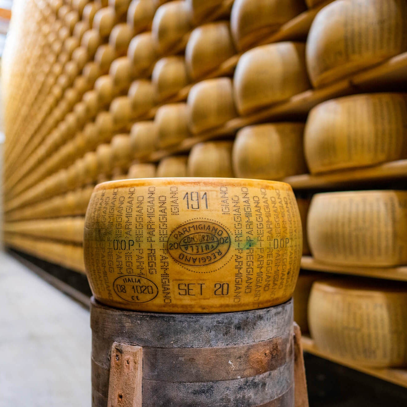 Wholesale Italian Cheese Importers Parmesan Reggiano 24 Month Wheel 80 LB (Large Bulk)- Bulk