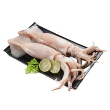 Wholesale The Right Squid 4-6 Cleaned Calamari Tubes 2.5lb- Bulk